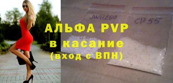 индика Заводоуковск